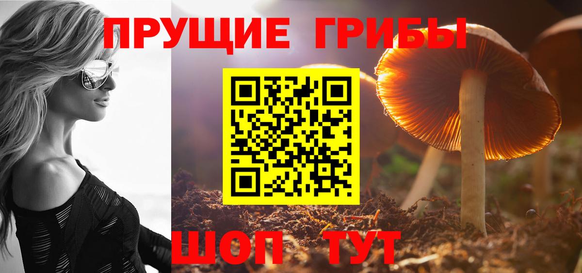 Псилоцибиновые грибы Psilocybine cubensis  Галлюциногенные грибы Psilocybine cubensis  Полевской  Вход с VPN 