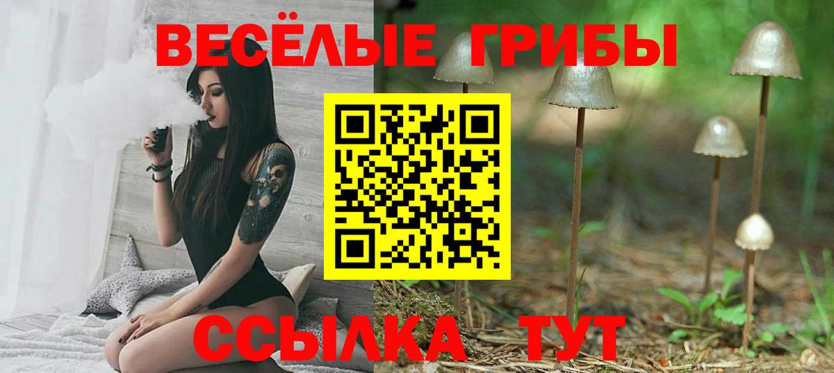 Галлюциногенные грибы Psilocybe Полевской
